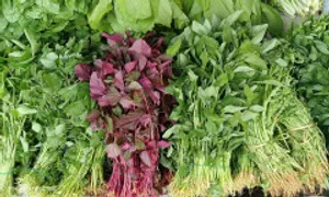 Lợi ích sức khỏe của khoáng chất đồng