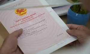 Không bán được nhà vì sổ đỏ ghi sai số CCCD, sửa thế nào? Không bán được nhà vì sổ đỏ ghi sai số CCCD, sửa thế nào?
