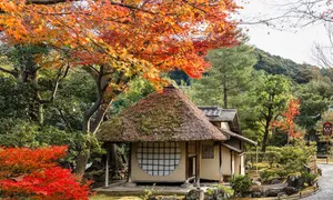 Lý do khách Nhật đến Việt Nam sụt giảm hai tháng liên tiếp